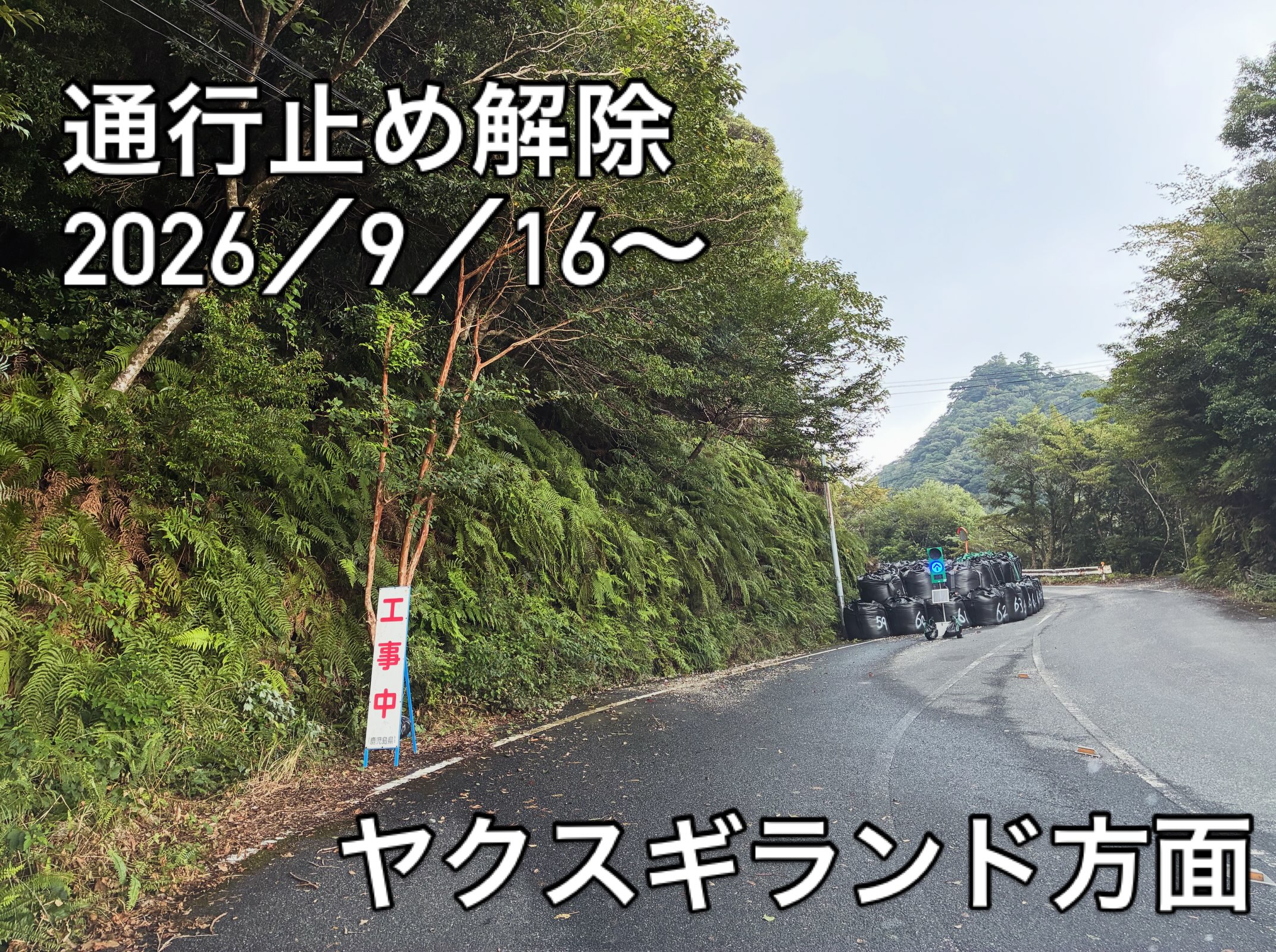 先日の大雨でで通行止めとなっていたヤクスギランド方面の通行止