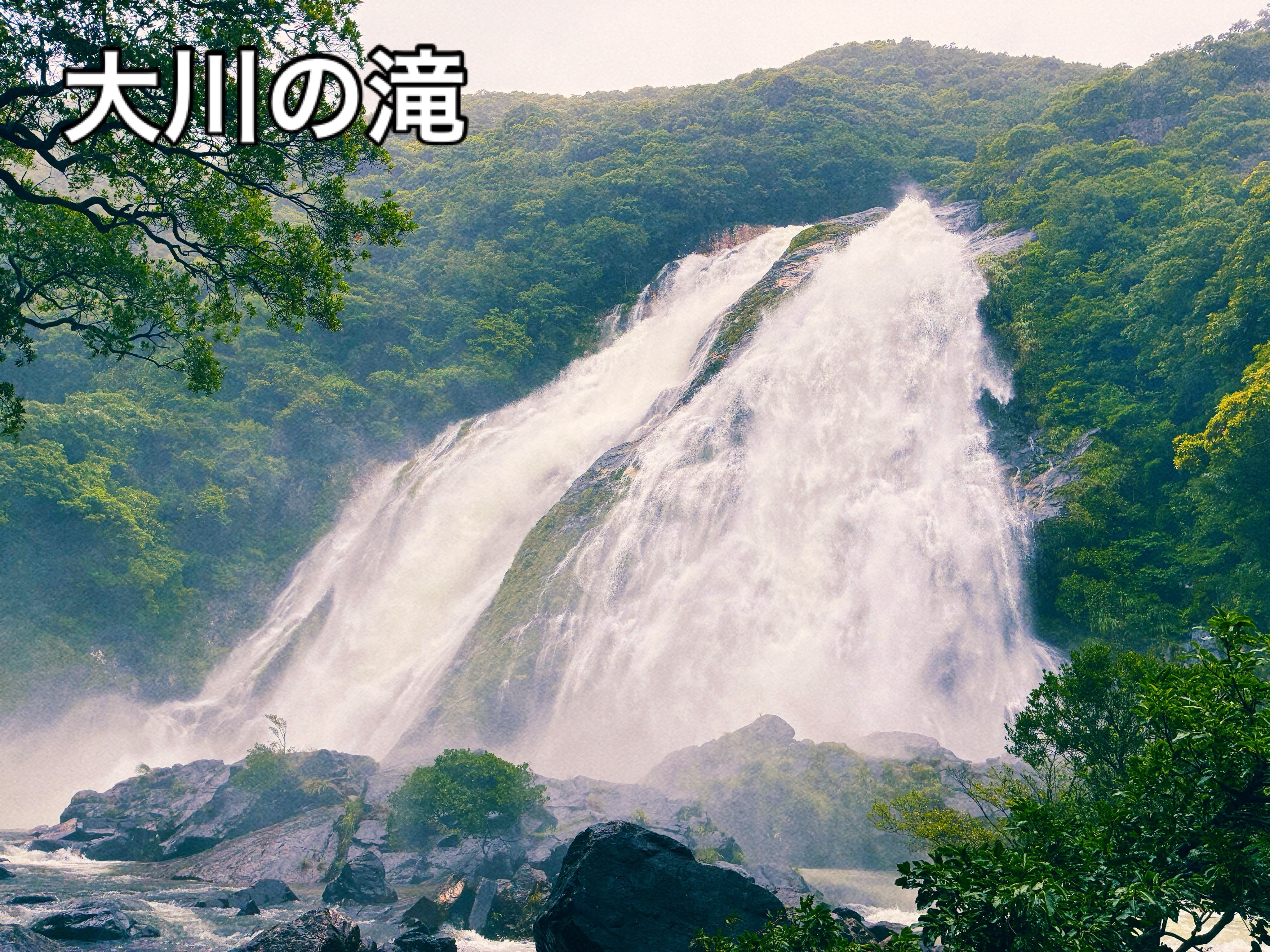 台風が過ぎて徐々に日常生活が戻りつつある屋久島です
